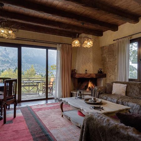Parnassus Dreamwood Chalet Eptálofos Exteriér fotografie