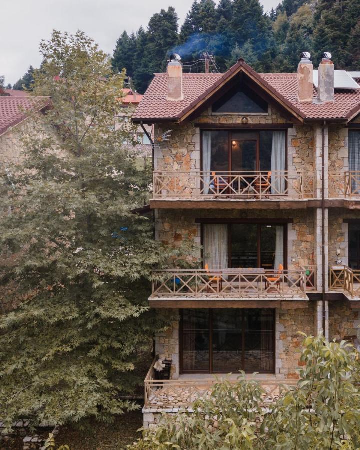 Parnassus Dreamwood Chalet Eptálofos Exteriér fotografie
